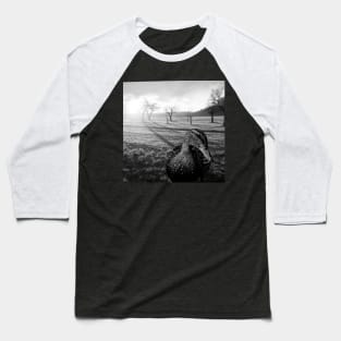 black and white duck, and country landscape Baseball T-Shirt